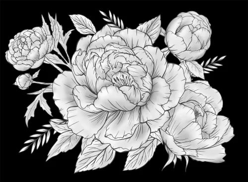 Цветочная композиция 056 (пионы) 